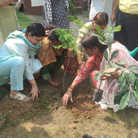 WORLD ENVIRONMENT DAY 2024